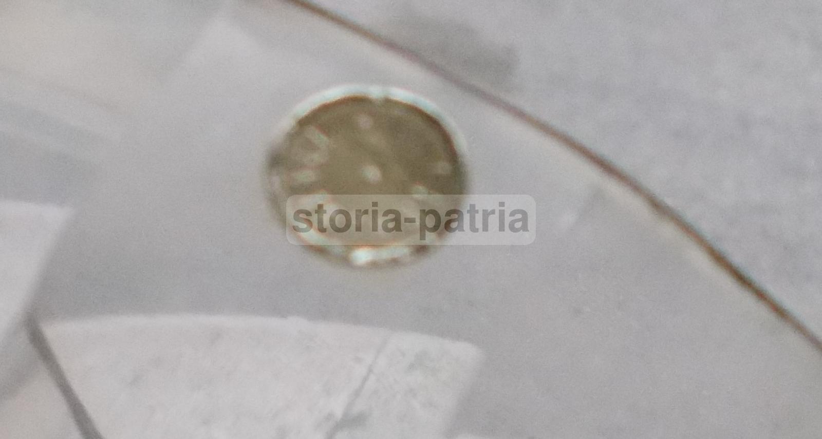 Cucina, Saliere, Zuccheriera, Formaggiera, Elegante Tris, Decorativo, Da Collezione immagine 5